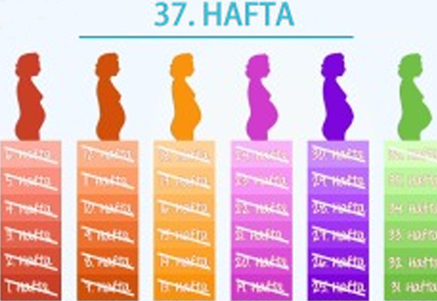 37. Hafta - Müjdeâ€¦ Bebeğiniz artık prematurite sınırını aştı.